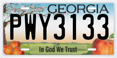 GA license plate PWY3133
