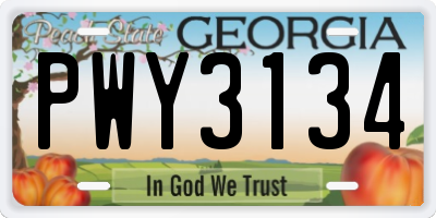 GA license plate PWY3134