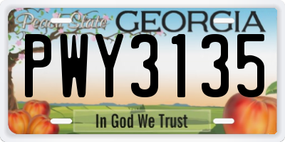 GA license plate PWY3135