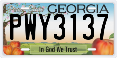 GA license plate PWY3137