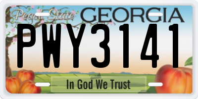 GA license plate PWY3141