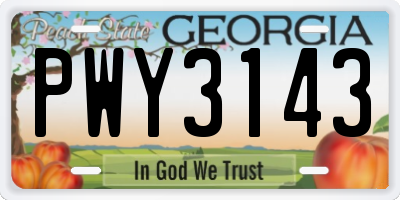 GA license plate PWY3143
