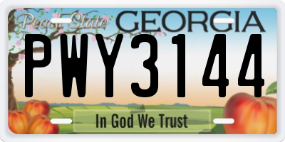 GA license plate PWY3144