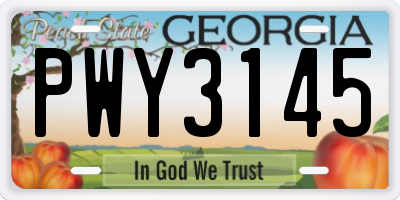GA license plate PWY3145