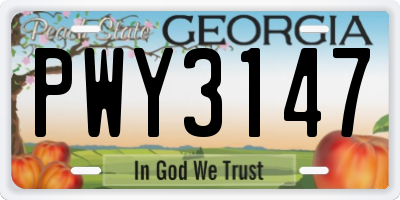 GA license plate PWY3147