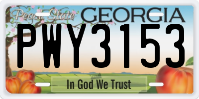 GA license plate PWY3153