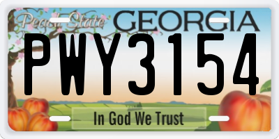 GA license plate PWY3154