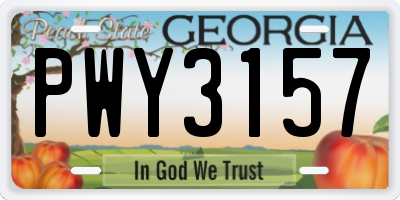 GA license plate PWY3157
