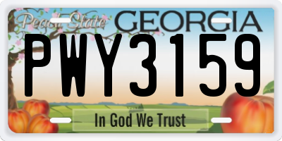 GA license plate PWY3159
