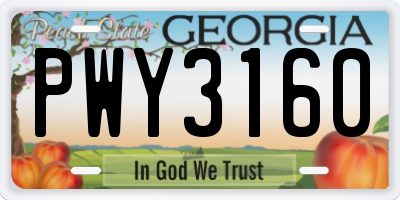 GA license plate PWY3160