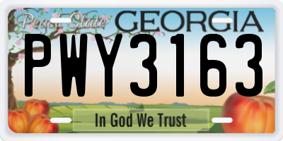 GA license plate PWY3163