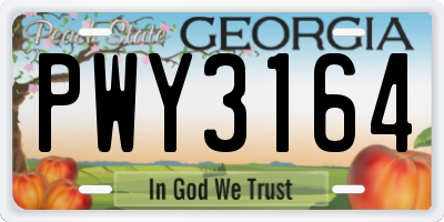 GA license plate PWY3164