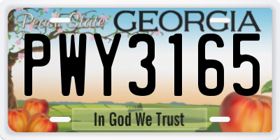 GA license plate PWY3165