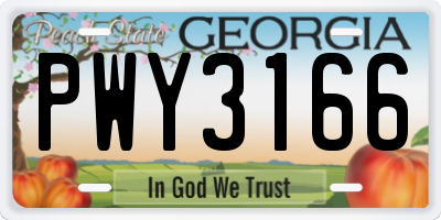 GA license plate PWY3166