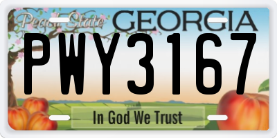 GA license plate PWY3167