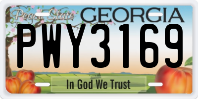 GA license plate PWY3169