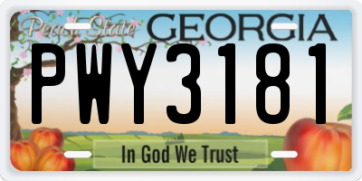 GA license plate PWY3181