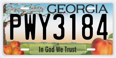 GA license plate PWY3184