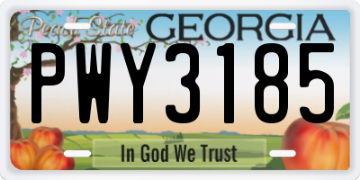 GA license plate PWY3185