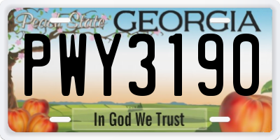 GA license plate PWY3190