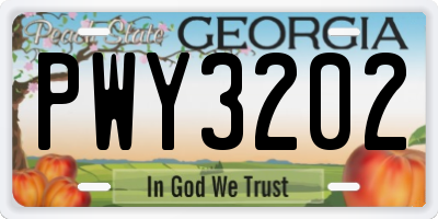 GA license plate PWY3202