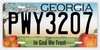 GA license plate PWY3207