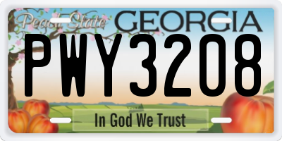 GA license plate PWY3208