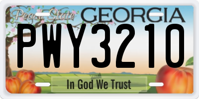 GA license plate PWY3210