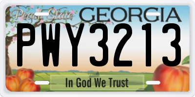 GA license plate PWY3213