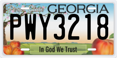 GA license plate PWY3218
