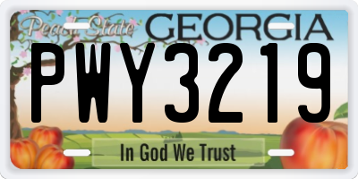 GA license plate PWY3219