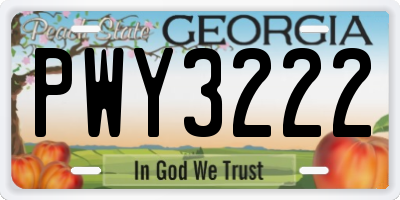 GA license plate PWY3222