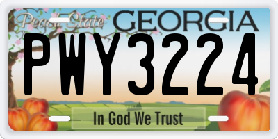 GA license plate PWY3224