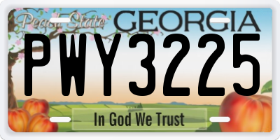 GA license plate PWY3225