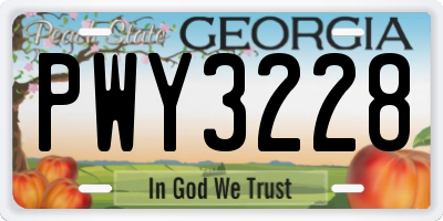 GA license plate PWY3228