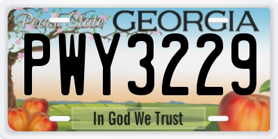 GA license plate PWY3229