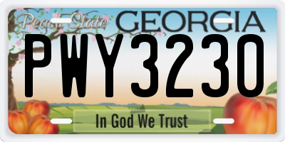 GA license plate PWY3230