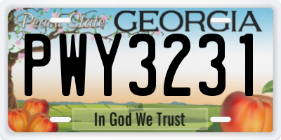 GA license plate PWY3231