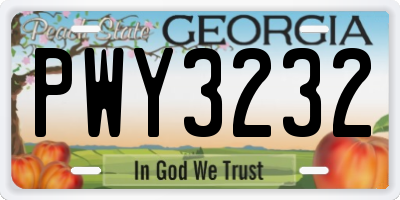 GA license plate PWY3232