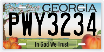 GA license plate PWY3234