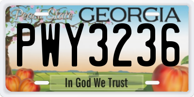 GA license plate PWY3236