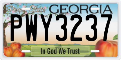 GA license plate PWY3237