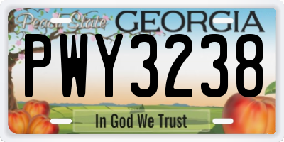 GA license plate PWY3238