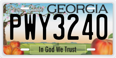 GA license plate PWY3240