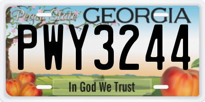 GA license plate PWY3244