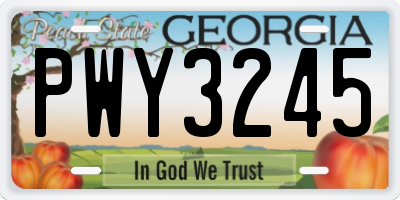 GA license plate PWY3245