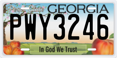 GA license plate PWY3246