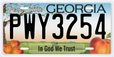 GA license plate PWY3254