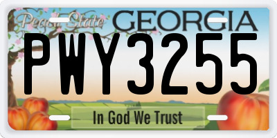 GA license plate PWY3255