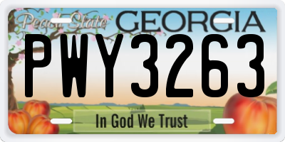 GA license plate PWY3263